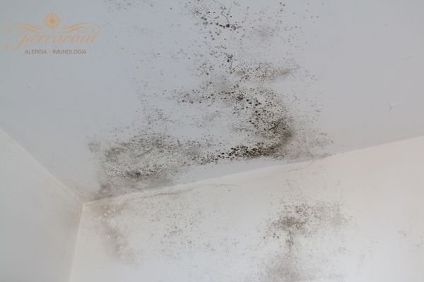 Presença de mofo em parede de casa, destacando risco para alergias respiratórias e doenças como rinite e asma.